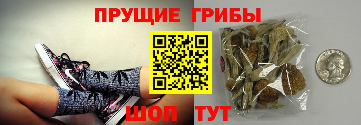 купить закладку  Псилоцибиновые грибы ЛСД  Вход с VPN  Иваново  Галлюциногенные грибы прущие грибы 